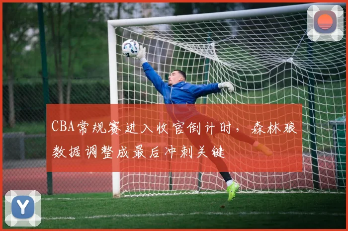 CBA常规赛进入收官倒计时，森林狼数据调整成最后冲刺关键