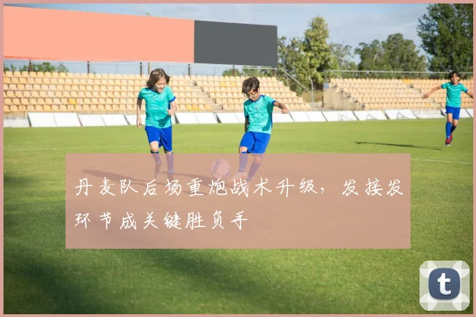 丹麦队后场重炮战术升级,发接发环节成关键胜负手