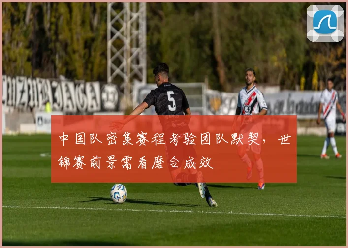 中国队密集赛程考验团队默契,世锦赛前景需看磨合成效