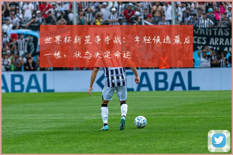 世界杯新星争夺战:年轻候选最后一练,状态决定命运